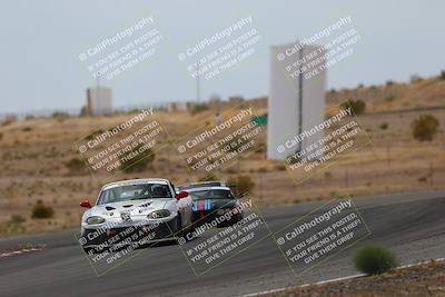 media/May-03-2025-Lucky Dog Racing (Sat) [[206de64b9d]]/Turn 6 (150pm-230pm)/